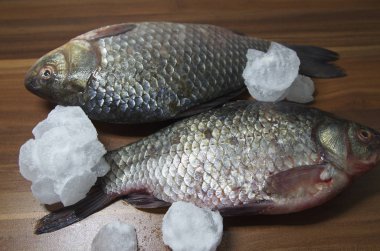 Masanın üzerinde taze, buzlu bir nehir balığı yatıyor..