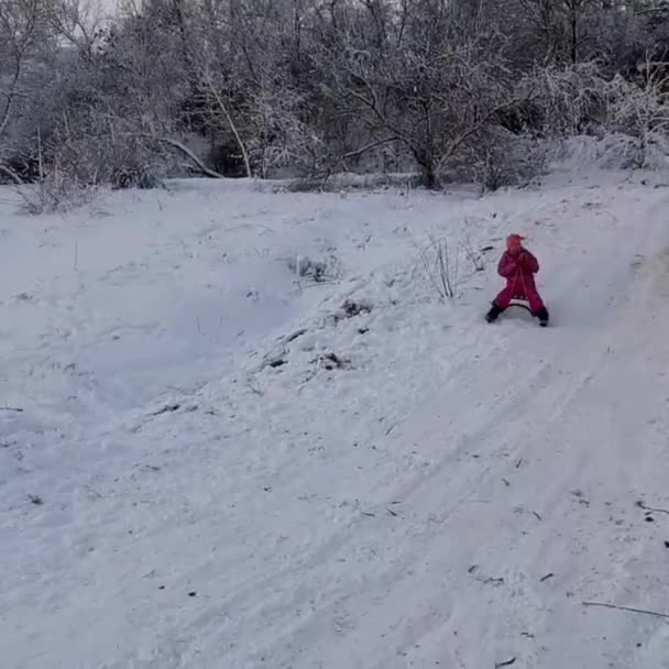 Χειμερινή Μέρα Δέντρα Είναι Καλυμμένα Χιόνι Ένα Κορίτσι Κατεβαίνει Λόφο — Αρχείο Βίντεο