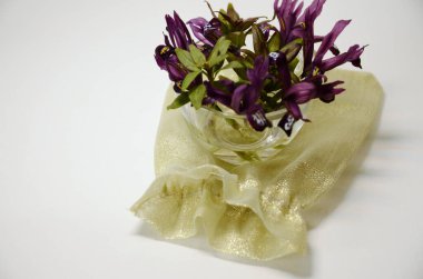 Beyaz arka planda, küçük bir buket ve taze bahar çiçekleri ile kompozisyon..