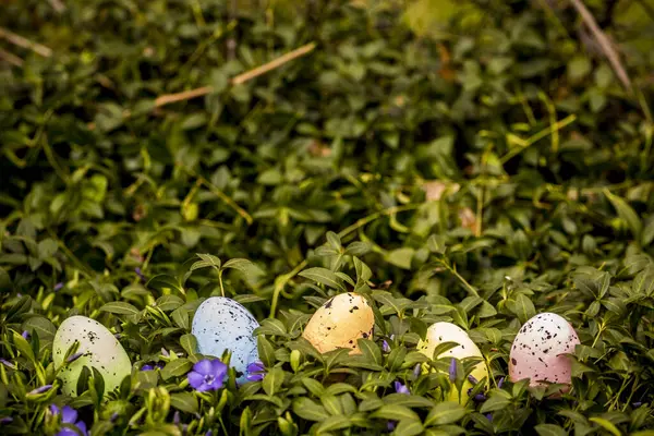 Oeufs Pâques Colorés Dans Herbe — Photo