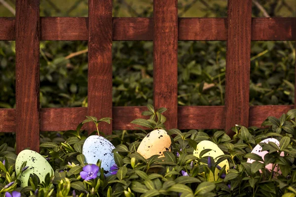 Coloridos Huevos Pascua Con Flores Hierba Verde — Foto de Stock