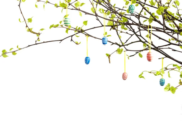 Branches Tree Easter Eggs Isolated White — Stock Photo, Image