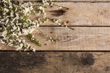 Tahta masada kiraz çiçekleri olan dallar. Bahar arkaplanı. 