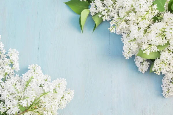 Mavi ahşap masada beyaz leylak çiçekleri. Uzayı kopyala Üst görünüm.