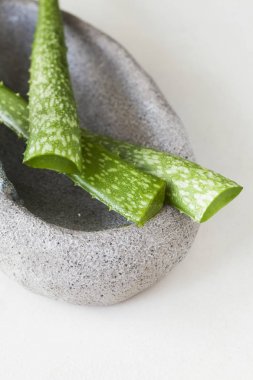 Taze aloe vera harç plaka üzerinde