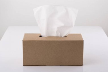 Tablo kapsayıcı kağıt mendil