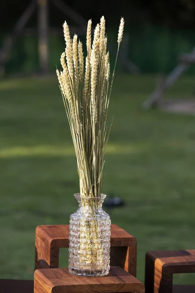 Verse tarwe granen boeket in glazen fles voor decoratie — Stockfoto