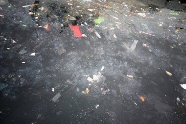 Deniz kirliliği deniz yüzeyinde denizanaları ile atıklar