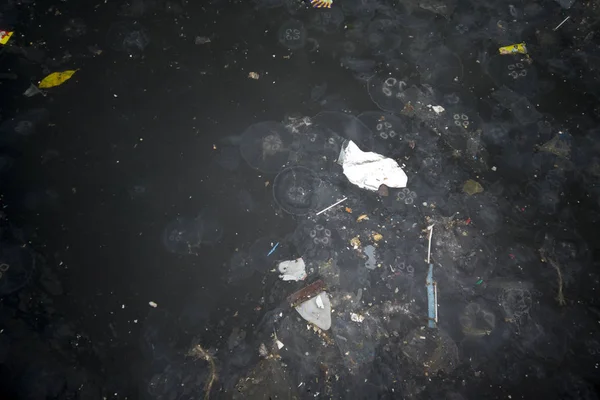 Deniz kirliliği deniz yüzeyinde denizanaları ile atıklar