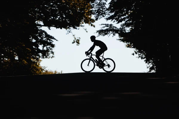 Active sportsman in silhouette riding bike on nature during summer day. Strong cyclist in protective helmet training regularly outdoors