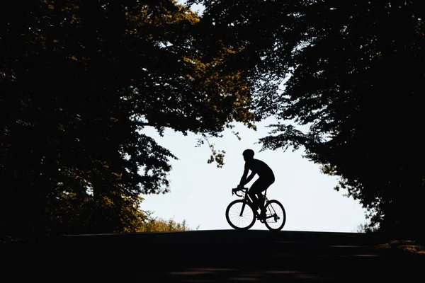 Silhouette of strong cyclist in active wear doing sport activity on bike on fresh air. Concept of self discipline and motivation.