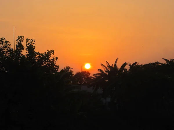 Red sky with sun. Sunset and trees — ストック写真