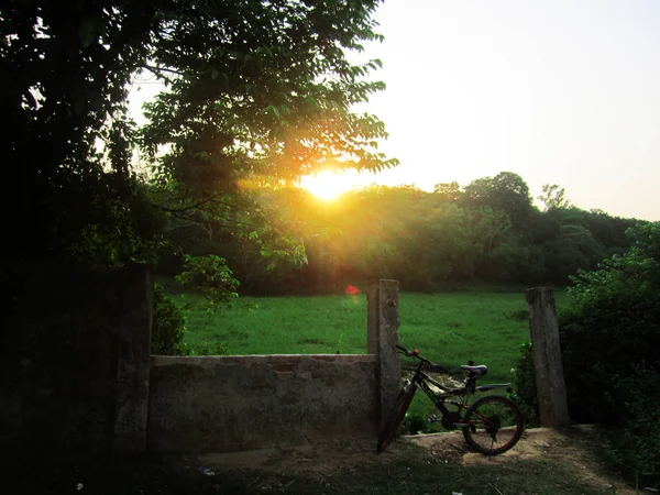 Papel tapiz solar. Sol bicicleta luz solar y árboles — Foto de Stock