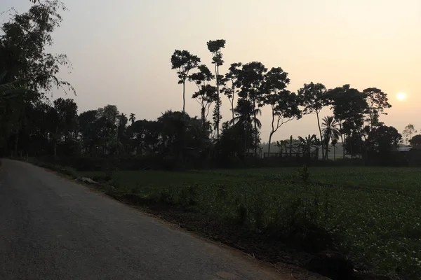 Village Road. Hermosa carretera de pueblo en Bangladesh — Foto de Stock