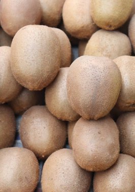 Taze kivi arkaplanı. Bir sürü kivi meyvesi.