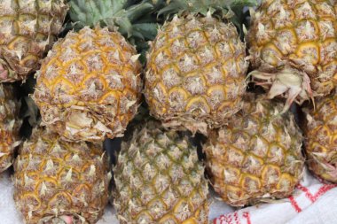 Ananas arkaplanı. Yapraklı bir sürü sağlıklı ananas
