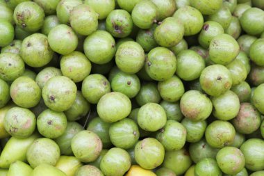 Amla Arkaplan. Yeşil Hindistan Bektaşi üzümü Amla Arkaplanı