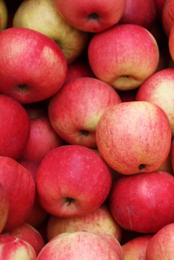 Meyve dükkanında elmalar. Bir sürü kırmızı elma.