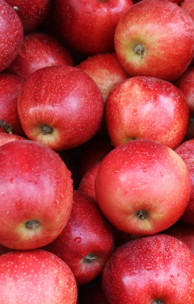 Manzanas Una Frutería Montón Manzana Roja Fresca — Foto de Stock