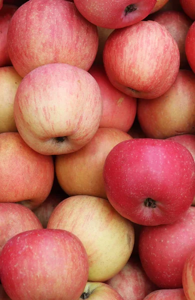 Manzanas Una Frutería Muchas Manzanas — Foto de Stock