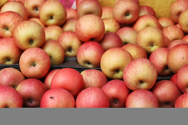 Jabłka Sklepie Owocowym Dużo Jabłek — Zdjęcie stockowe