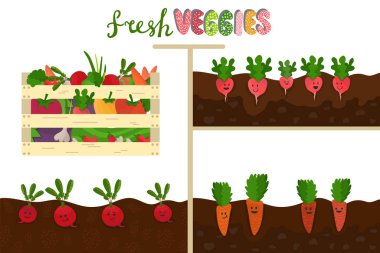 Tahta kutu ve bahçe yatağında sonbahar hasadı