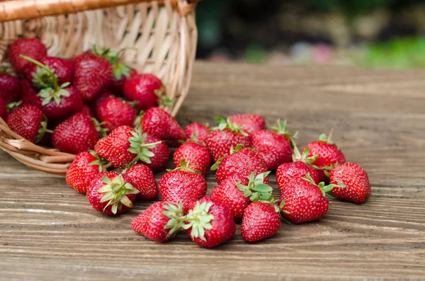 Fraises mûres rouge sur table en bois — Photo