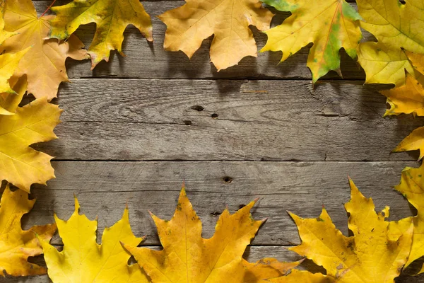 Sonbahar yaprakları ahşap arka plan üzerinde. Vintage kurulu. Sarı renk.