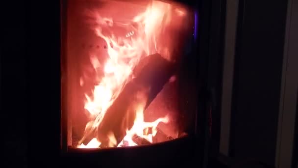 Madera Árbol Chimenea Fuego Piso Casa Caliente Chimenea Split Pequeño — Vídeo de stock