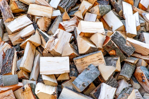 Firewood Tree Cut Wood Heat Wood Fuel — Stock Photo, Image