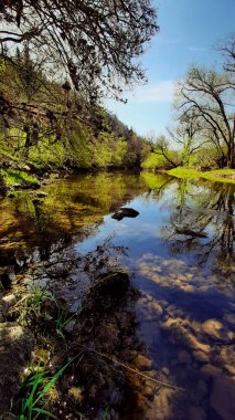 Tuna, sakin dar nehir, bahar
