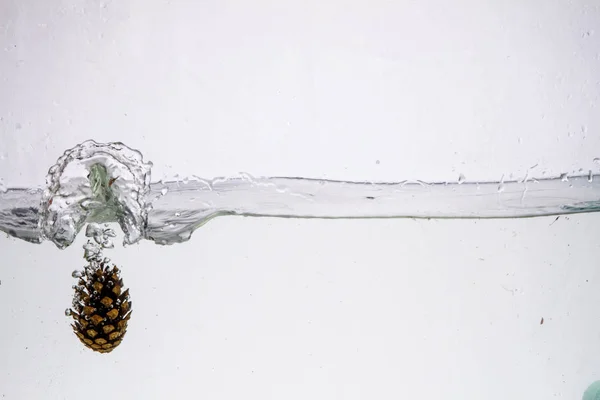 Water Splash Photography: ένας κώνος κωνοφόρων που πέφτει στο νερό δημιουργώντας ένα μεγάλο παφλασμό σε λευκό φόντο — Φωτογραφία Αρχείου
