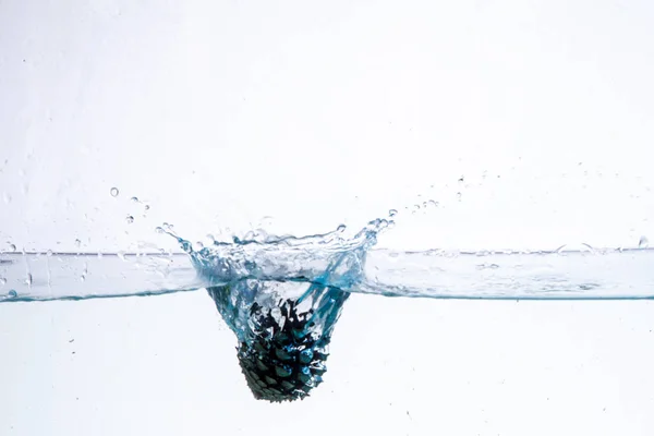 Water Splash Photography: ένας κώνος κωνοφόρων που πέφτει στο νερό δημιουργώντας ένα μεγάλο παφλασμό σε λευκό φόντο — Φωτογραφία Αρχείου