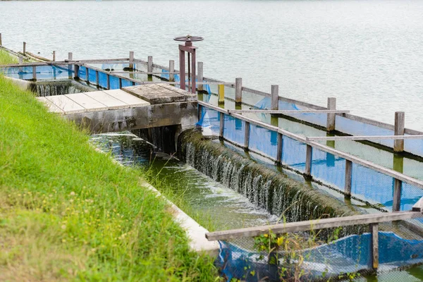Temizleyici, havza havalanır atıksu arıtma tesisi