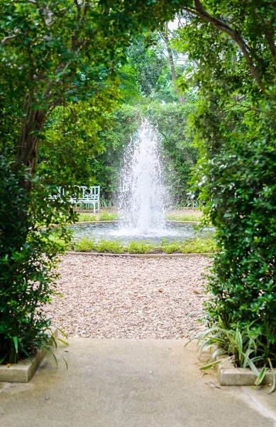 Dekoratif Bahçe — Stok fotoğraf