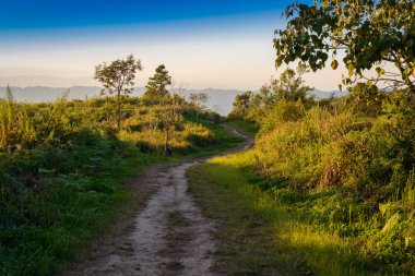 geçit phucheefa forest park için