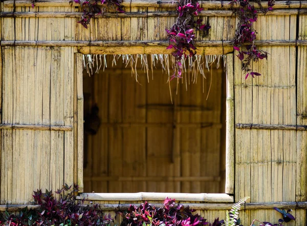 Bambu vägg och växt dekoration — Stockfoto