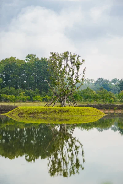 Velký strom na klidné vodě rybníka s odraz na vodě — Stock fotografie