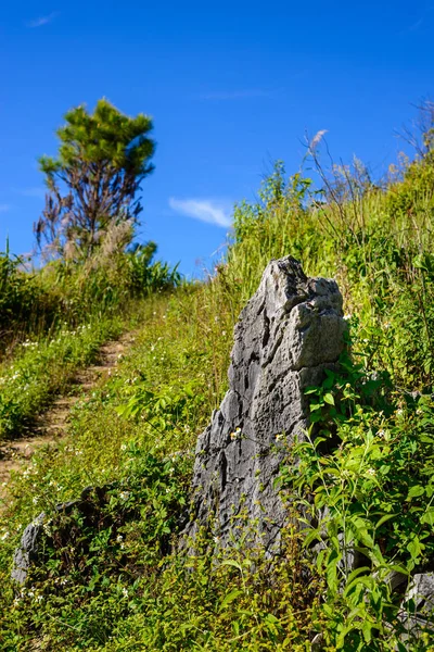 土井パンガン唐の視点、タイのチェンライ県。beauti — ストック写真