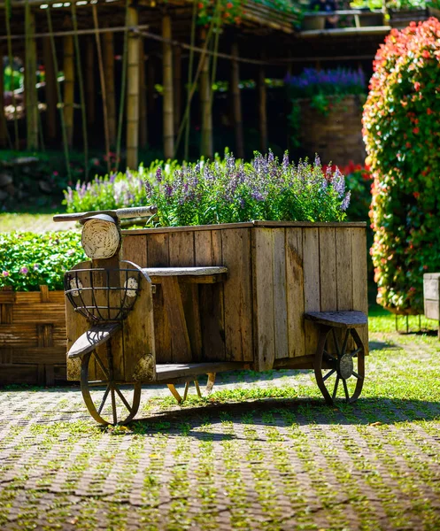 Трицикл из дерева — стоковое фото