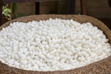 İpekçilik ve İpek iplik