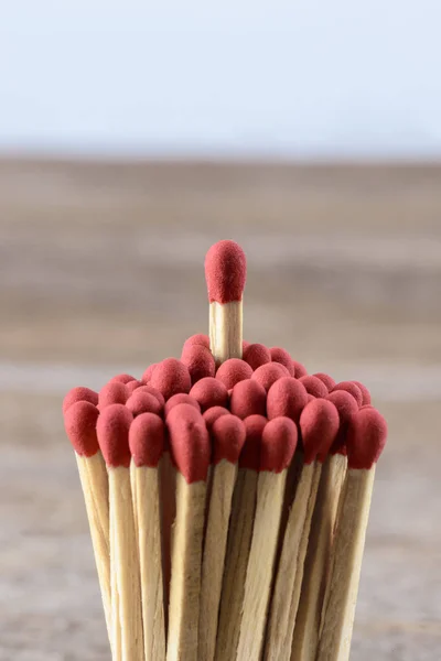 One match standing out from the crowd — Stock Photo, Image