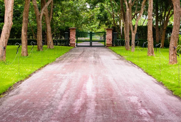 Walkway covered tunnel Trees — Stock Photo, Image