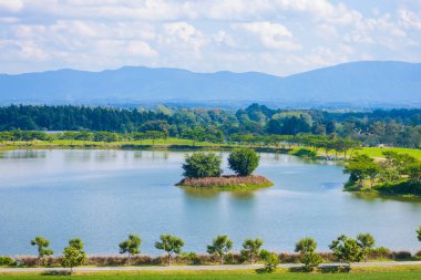 Yeşil çay alan mavi gökyüzü ile