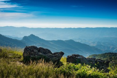 Doi Pha Tang bakış, Tayland Chiang Rai il. güze