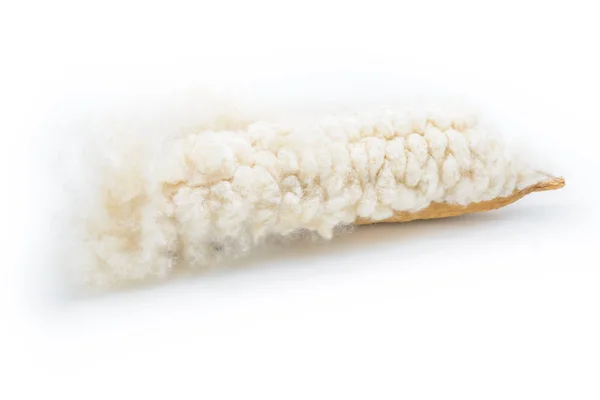 Kapok seeds with white fiber for making pillow — Stock Photo, Image