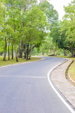 taze yeşil virajlı bir yol