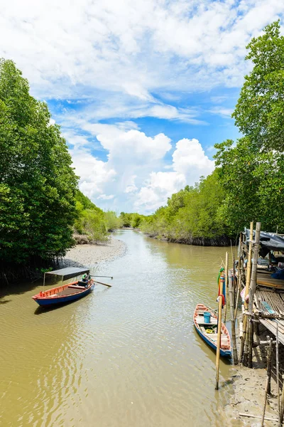 Jalan belajar alam, terbuat dari kayu, dan berjalan melalui Ceriops — Stok Foto