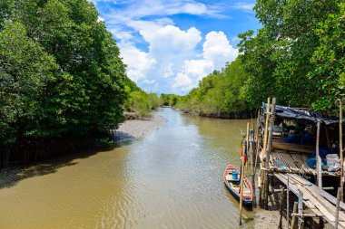 Ahşap-dan yapılan doğa öğrenme başlar ve yürümek-den geçerek Ceriops