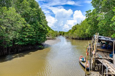 Ahşap-dan yapılan doğa öğrenme başlar ve yürümek-den geçerek Ceriops